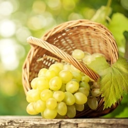 Можно ли виноград при грудном вскармливании кормящей маме